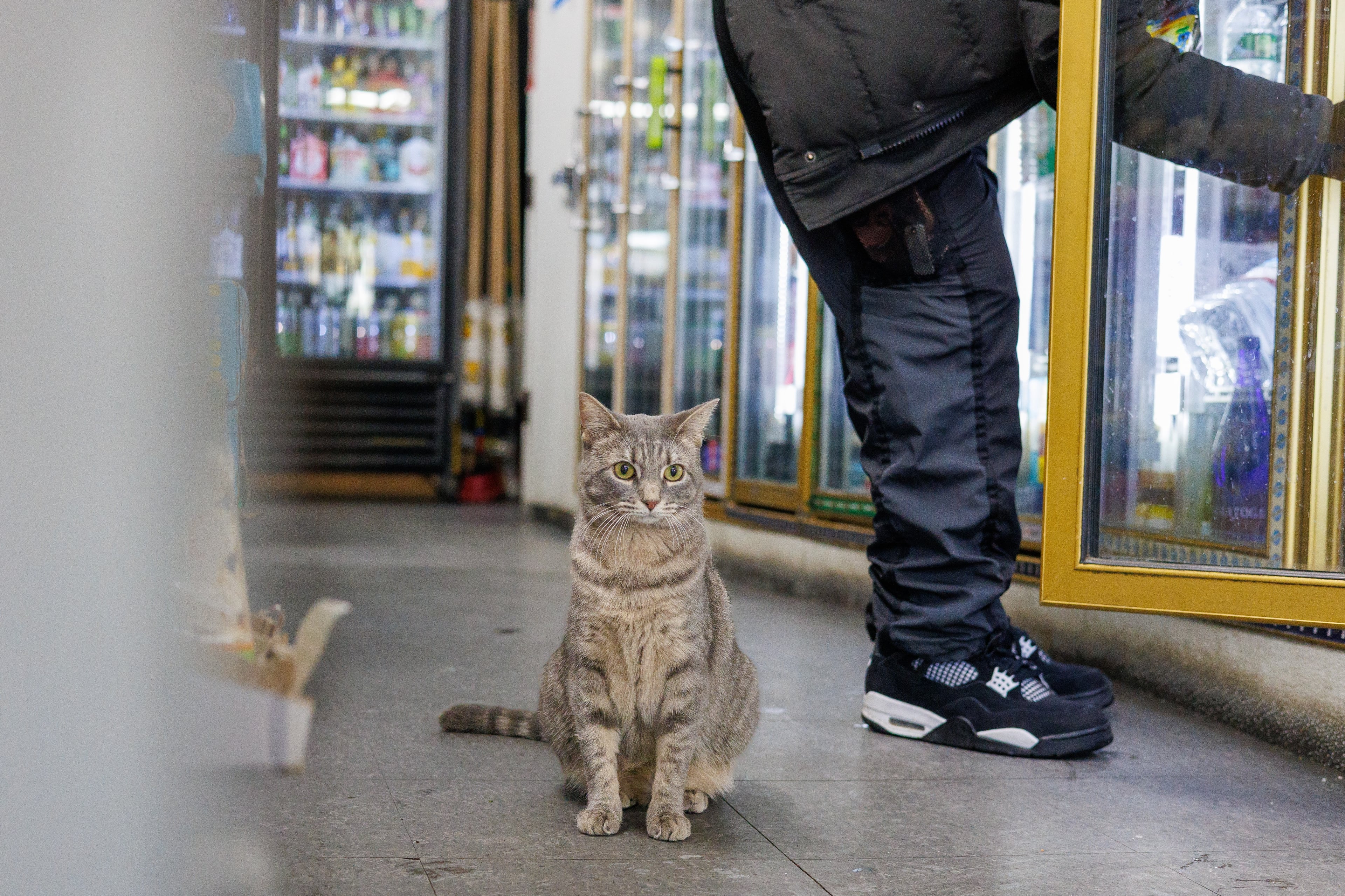 Ashley moving through the aisle of her Williamsburg bodega