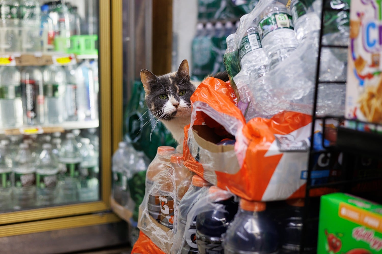 Francesca inside her Havemeyer Street bodega