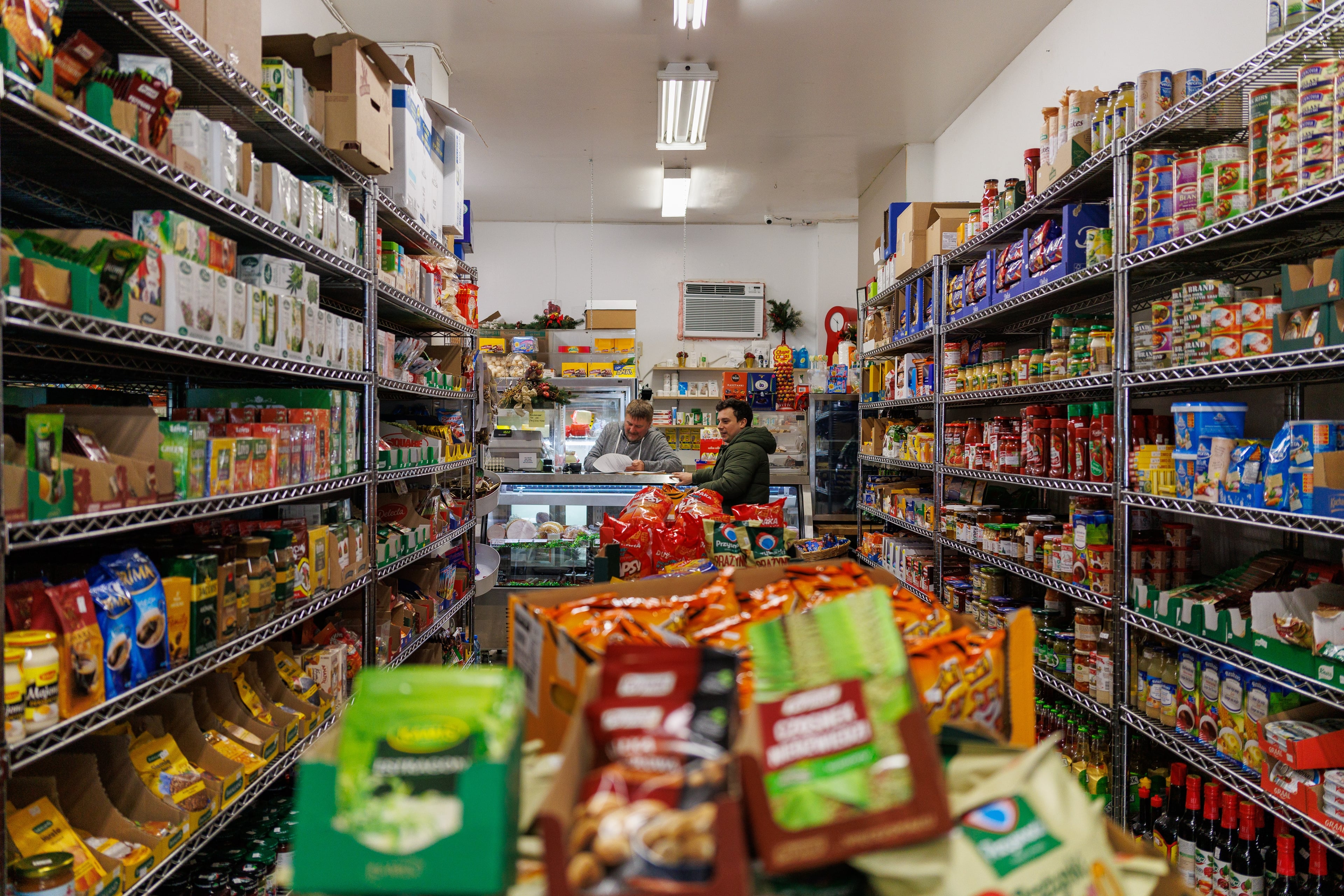 Klara perched on a high bodega shelf in Park Slope, watching the room