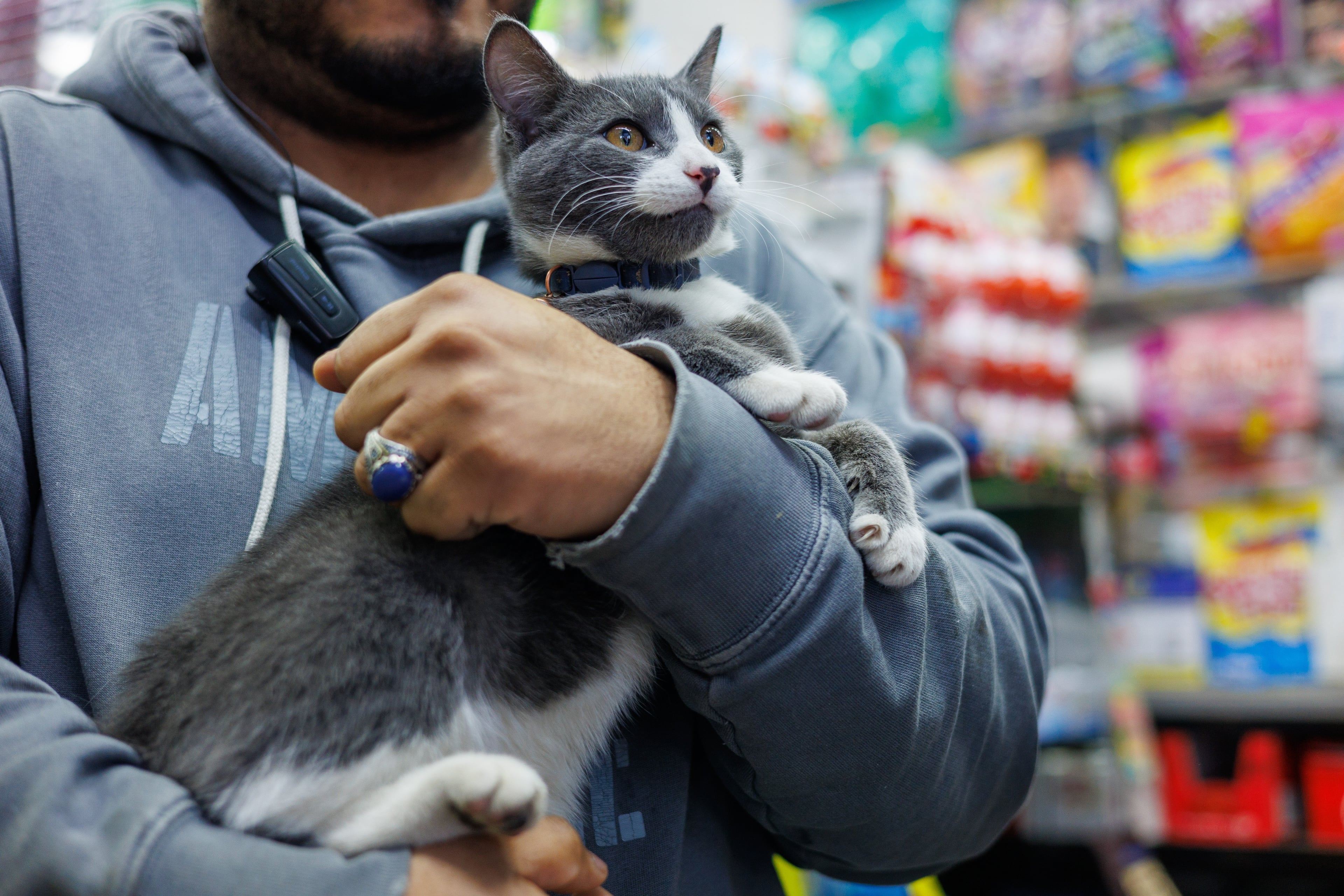 Stella inside her Park Slope bodega, calm beside the people who run the store